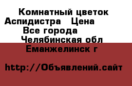 Комнатный цветок Аспидистра › Цена ­ 150 - Все города  »    . Челябинская обл.,Еманжелинск г.